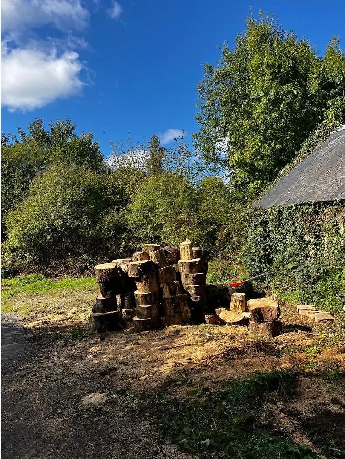 L'Annexe Villa Mael-Pestivien 0*,